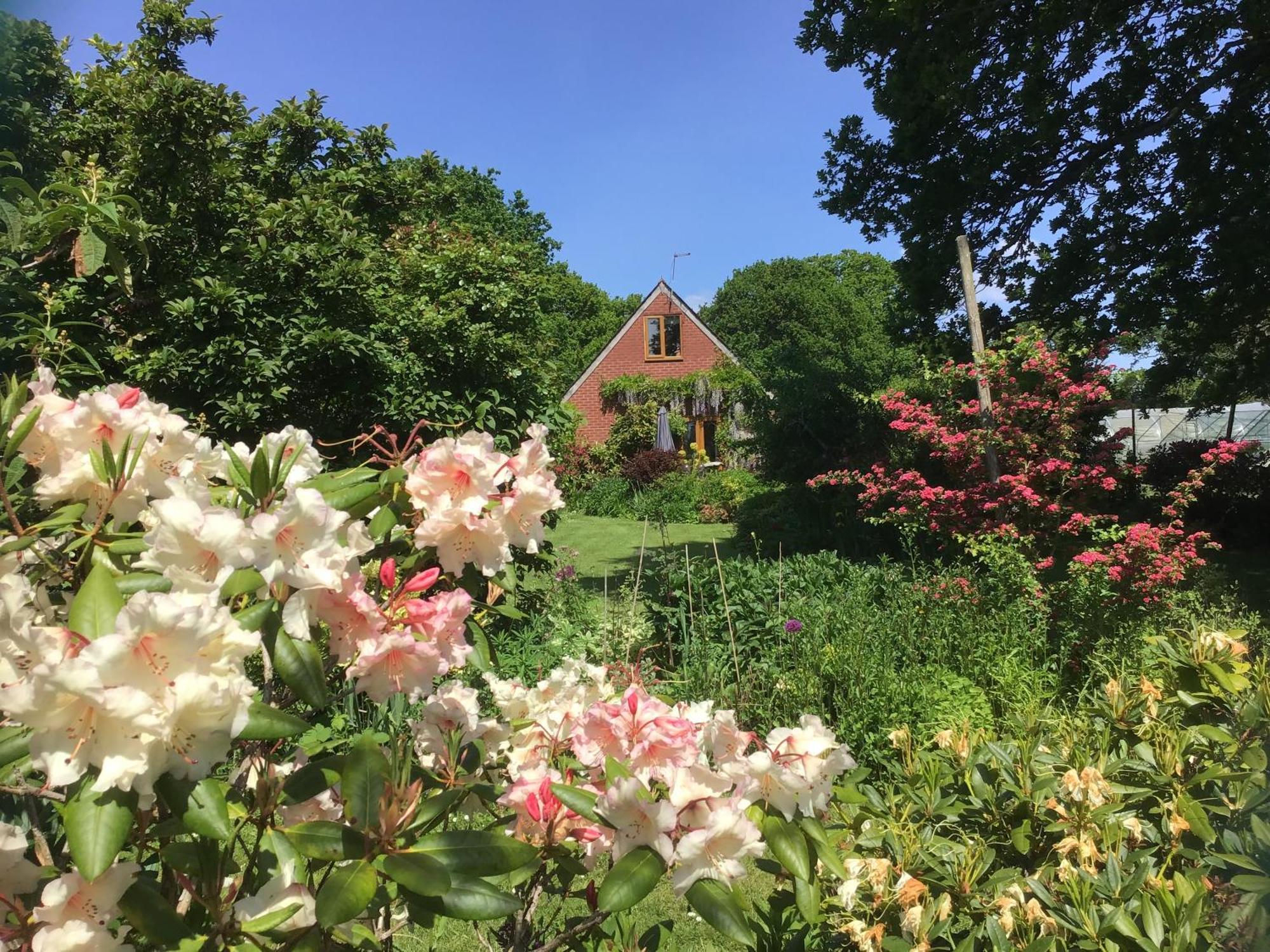 Forest Barn In The National Park & Near Beaches Hébergement de vacances New Milton